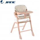 Jane' - Noah Seggiolone Evolutivo
