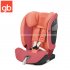 Gb - Everna Fix Rose Red