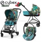 Cybex - Mios 3 Trio We The Best By Dj Khaled